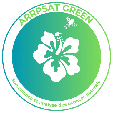 Logo ARRPSAT Green